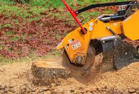 How Our Tree Care Process Works  in  Troy, MO