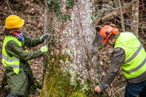Best Arborist Consultation Services  in Troy, MO